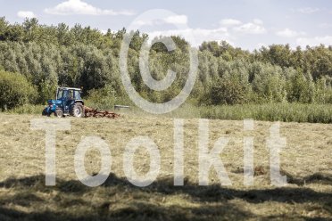 gemaaid veld, tractor op de achtergrond voor een bomenrij