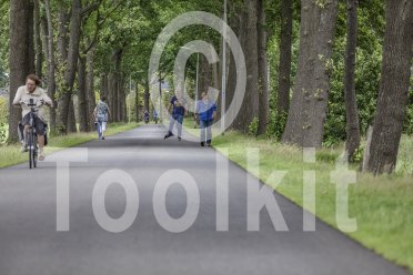 fietsers, wandelaars en skaters op een weg door het bos