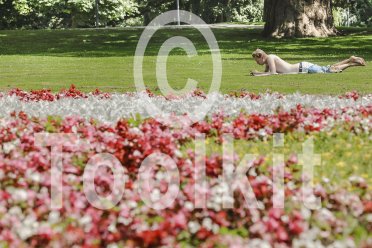man op het gras in een park, bloemen op de voorgrond
