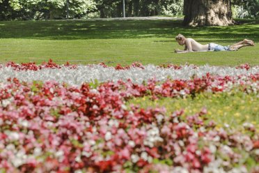 Afbeelding van een park met roze en rode bloemen op de voorgrond en een man die in het gras ligt op de achtergrond.