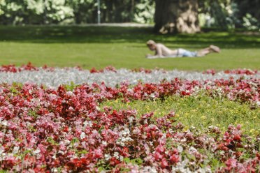 Scherper afbeelding van een en park met roze en rode bloemen op de voorgrond en een man die in het gras ligt op de achtergrond.